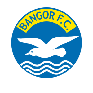 linfield footer logo Bangor